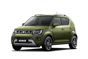  IGNIS SZ-T